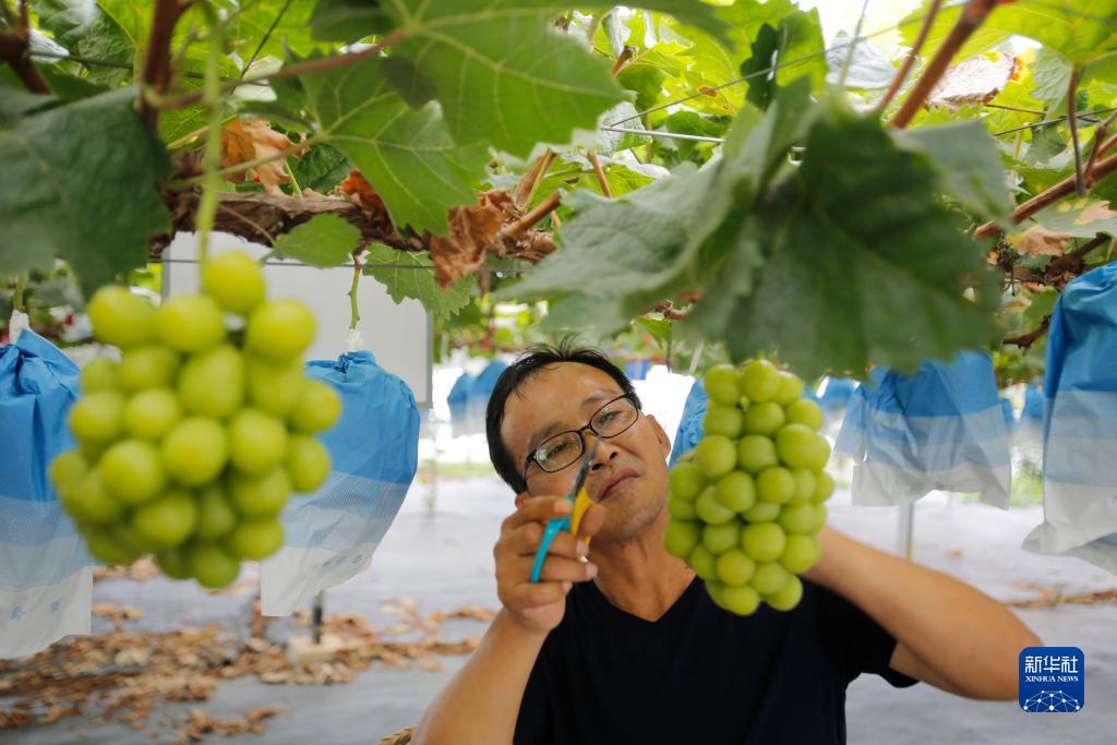 万盛娱乐登录平台